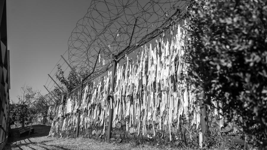 The line between North and South Korea - DMZ